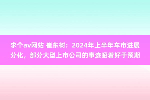 求个av网站 崔东树：2024年上半年车市进展分化，部分大型上市公司的事迹昭着好于预期