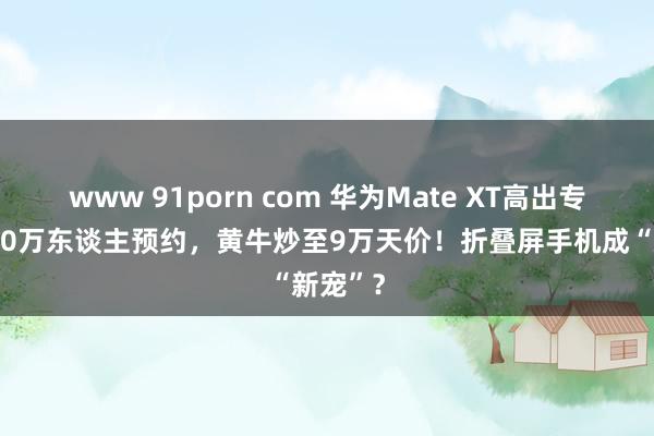 www 91porn com 华为Mate XT高出专家近500万东谈主预约，黄牛炒至9万天价！折叠屏手机成“新宠”？