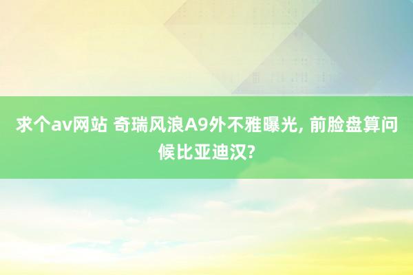 求个av网站 奇瑞风浪A9外不雅曝光, 前脸盘算问候比亚迪汉?