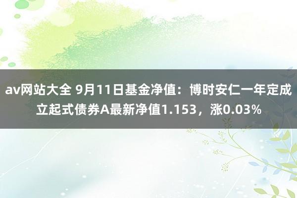 av网站大全 9月11日基金净值：博时安仁一年定成立起式债券A最新净值1.153，涨0.03%