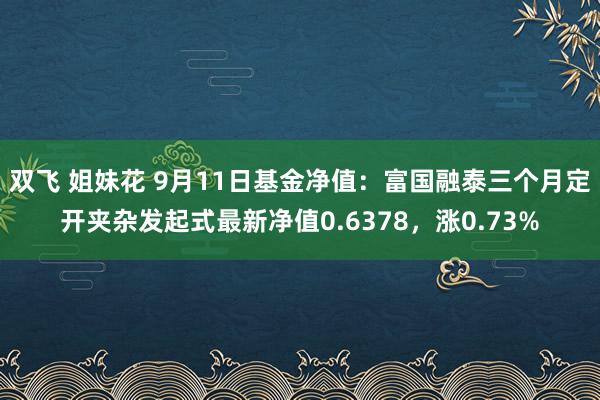 双飞 姐妹花 9月11日基金净值：富国融泰三个月定开夹杂发起式最新净值0.6378，涨0.73%