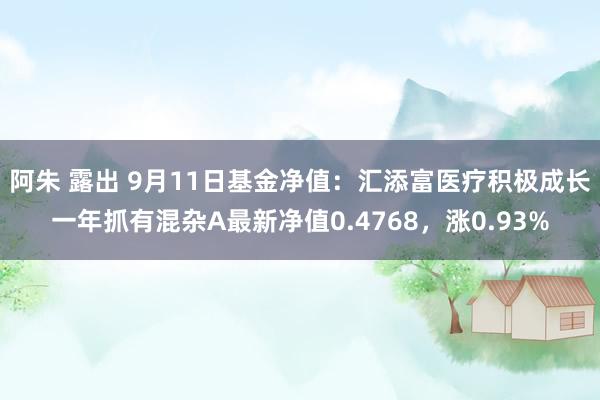 阿朱 露出 9月11日基金净值：汇添富医疗积极成长一年抓有混杂A最新净值0.4768，涨0.93%