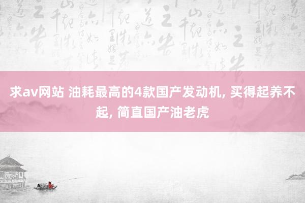 求av网站 油耗最高的4款国产发动机, 买得起养不起, 简直国产油老虎