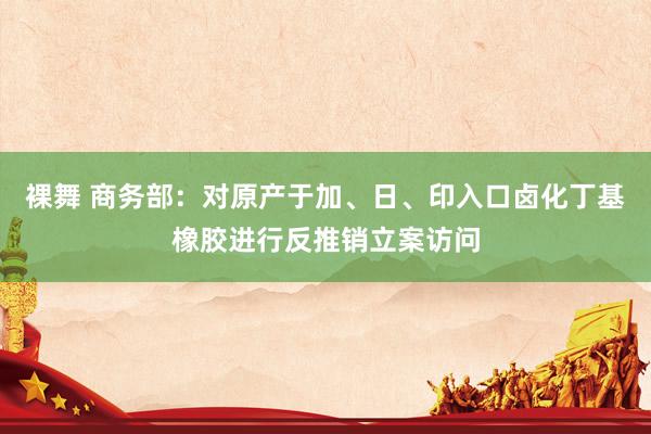 裸舞 商务部：对原产于加、日、印入口卤化丁基橡胶进行反推销立案访问