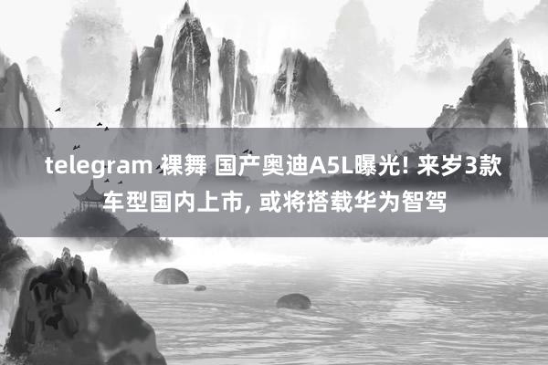 telegram 裸舞 国产奥迪A5L曝光! 来岁3款车型国内上市， 或将搭载华为智驾