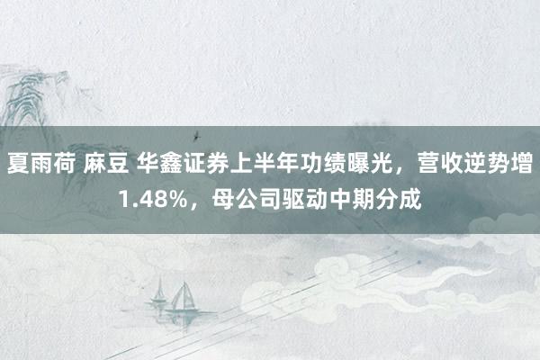 夏雨荷 麻豆 华鑫证券上半年功绩曝光，营收逆势增1.48%，母公司驱动中期分成