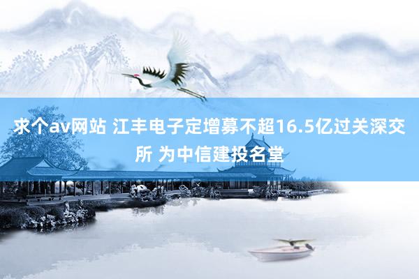 求个av网站 江丰电子定增募不超16.5亿过关深交所 为中信建投名堂