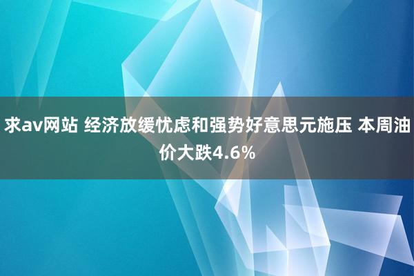 求av网站 经济放缓忧虑和强势好意思元施压 本周油价大跌4.6%