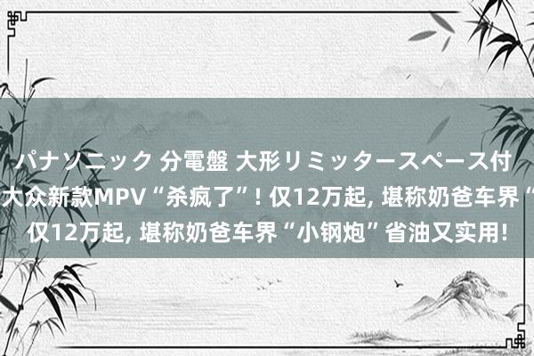 パナソニック 分電盤 大形リミッタースペース付 露出・半埋込両用形 大众新款MPV“杀疯了”! 仅12万起， 堪称奶爸车界“小钢炮”省油又实用!