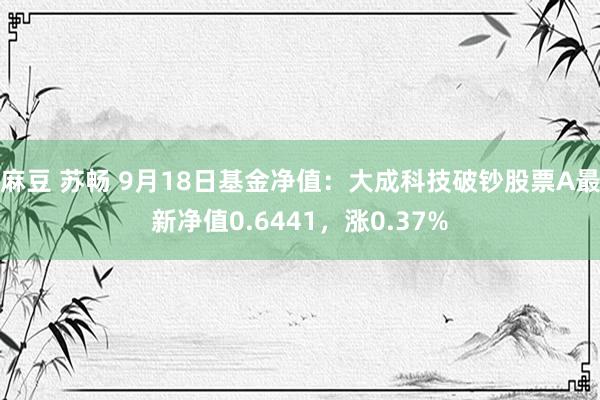 麻豆 苏畅 9月18日基金净值：大成科技破钞股票A最新净值0.6441，涨0.37%