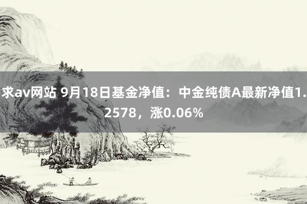 求av网站 9月18日基金净值：中金纯债A最新净值1.2578，涨0.06%