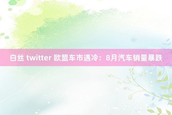 白丝 twitter 欧盟车市遇冷：8月汽车销量暴跌