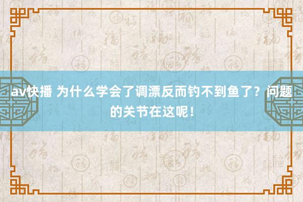 av快播 为什么学会了调漂反而钓不到鱼了？问题的关节在这呢！