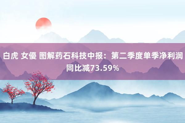 白虎 女優 图解药石科技中报：第二季度单季净利润同比减73.59%