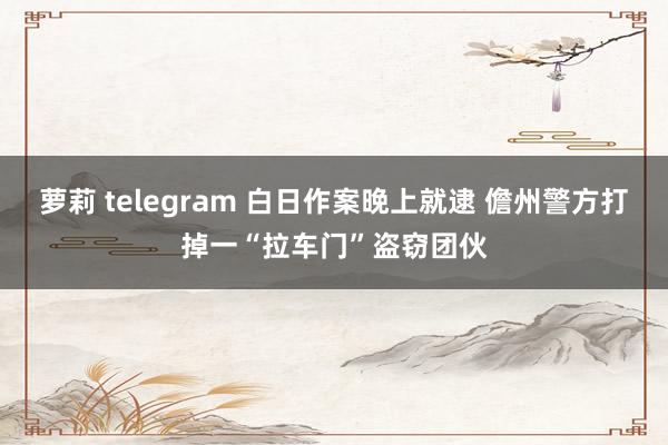 萝莉 telegram 白日作案晚上就逮 儋州警方打掉一“拉车门”盗窃团伙