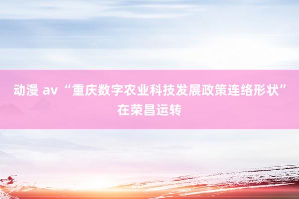 动漫 av “重庆数字农业科技发展政策连络形状”在荣昌运转