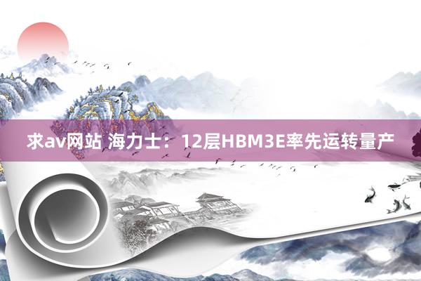 求av网站 海力士：12层HBM3E率先运转量产