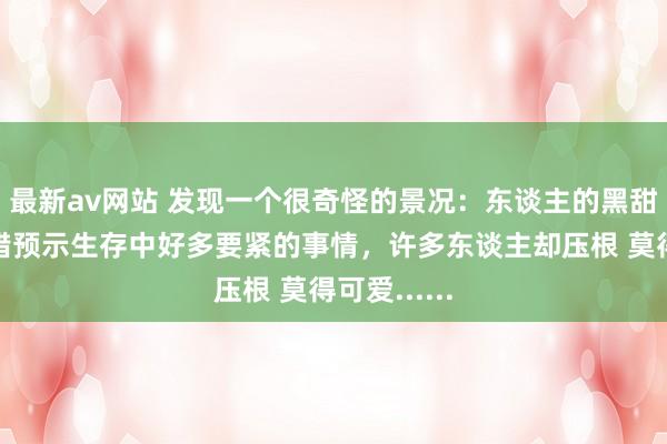 最新av网站 发现一个很奇怪的景况：东谈主的黑甜乡频频不错预示生存中好多要紧的事情，许多东谈主却压根 莫得可爱......