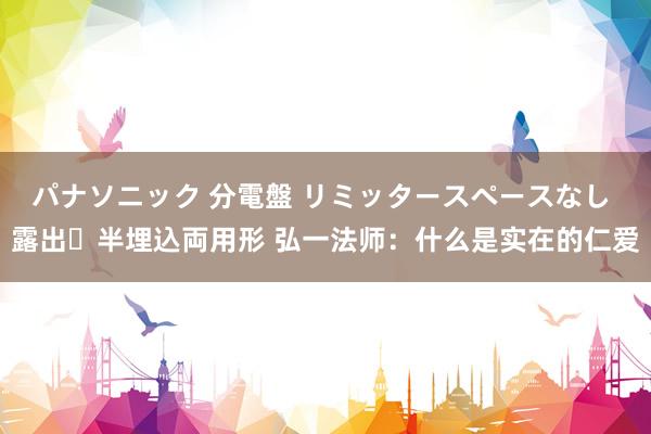 パナソニック 分電盤 リミッタースペースなし 露出・半埋込両用形 弘一法师：什么是实在的仁爱