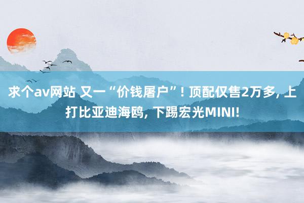 求个av网站 又一“价钱屠户”! 顶配仅售2万多， 上打比亚迪海鸥， 下踢宏光MINI!