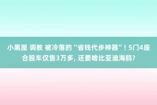 小黑屋 调教 被冷落的“省钱代步神器”! 5门4座合股车仅售3万多, 还要啥比亚迪海鸥?