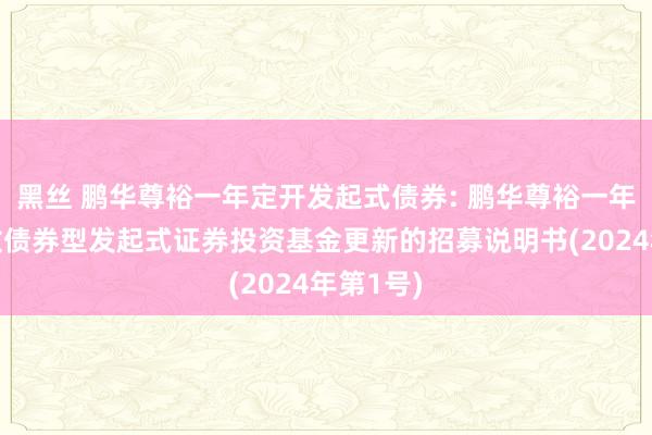 黑丝 鹏华尊裕一年定开发起式债券: 鹏华尊裕一年如期怒放债券型发起式证券投资基金更新的招募说明书(2024年第1号)