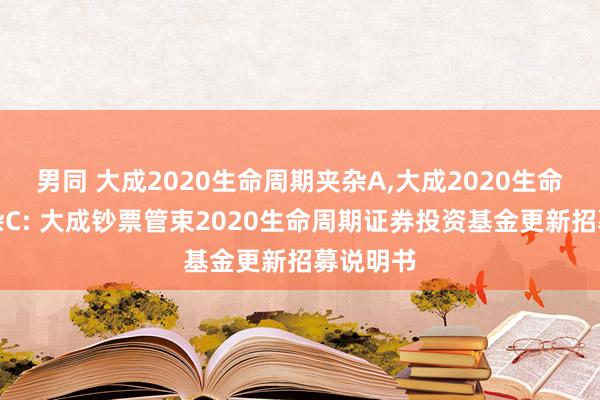 男同 大成2020生命周期夹杂A,大成2020生命周期夹杂C: 大成钞票管束2020生命周期证券投资基金更新招募说明书