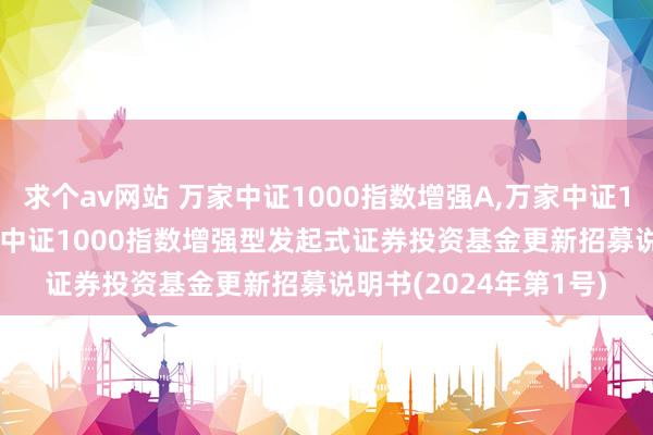 求个av网站 万家中证1000指数增强A，万家中证1000指数增强C: 万家中证1000指数增强型发起式证券投资基金更新招募说明书(2024年第1号)