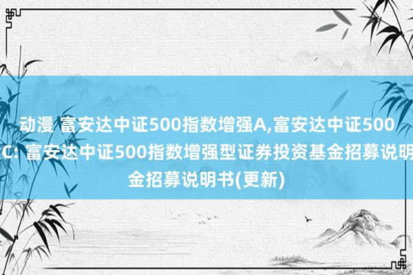 动漫 富安达中证500指数增强A,富安达中证500指数增强C: 富安达中证500指数增强型证券投资基金招募说明书(更新)