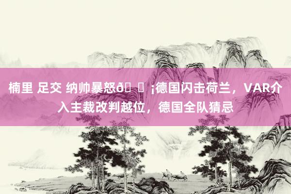 楠里 足交 纳帅暴怒😡德国闪击荷兰，VAR介入主裁改判越位，德国全队猜忌