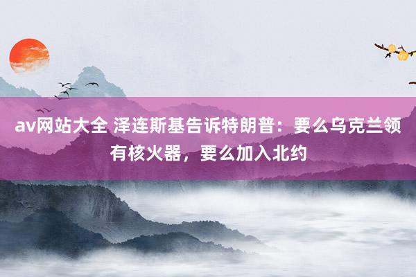 av网站大全 泽连斯基告诉特朗普：要么乌克兰领有核火器，要么加入北约