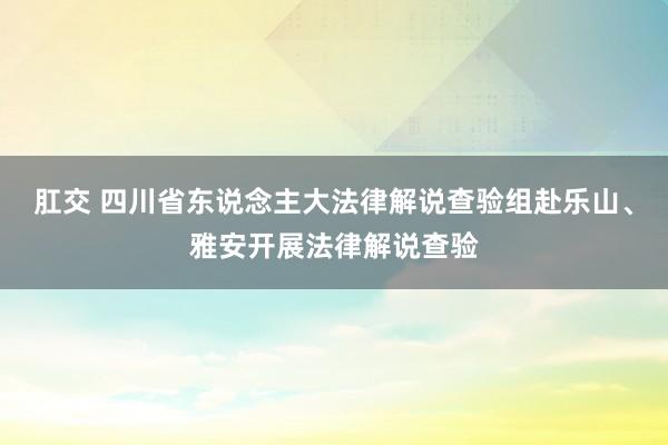 肛交 四川省东说念主大法律解说查验组赴乐山、雅安开展法律解说查验