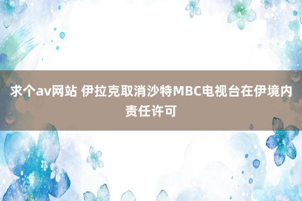 求个av网站 伊拉克取消沙特MBC电视台在伊境内责任许可