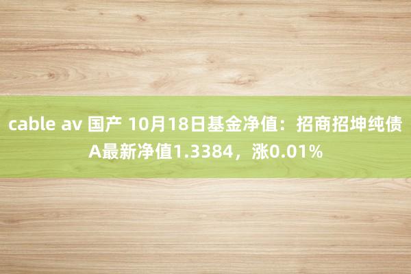 cable av 国产 10月18日基金净值：招商招坤纯债A最新净值1.3384，涨0.01%