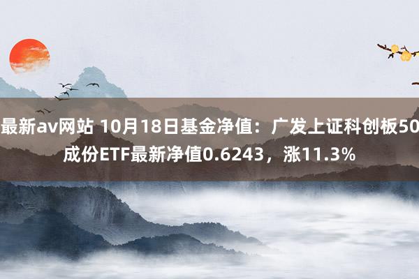 最新av网站 10月18日基金净值：广发上证科创板50成份ETF最新净值0.6243，涨11.3%