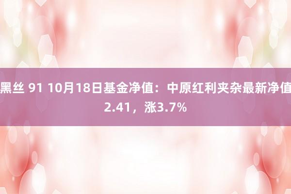 黑丝 91 10月18日基金净值：中原红利夹杂最新净值2.41，涨3.7%