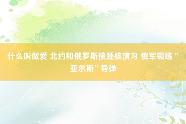 什么叫做爱 北约和俄罗斯接踵核演习 俄军锻练“亚尔斯”导弹