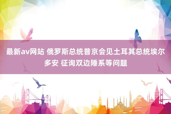 最新av网站 俄罗斯总统普京会见土耳其总统埃尔多安 征询双边陲系等问题