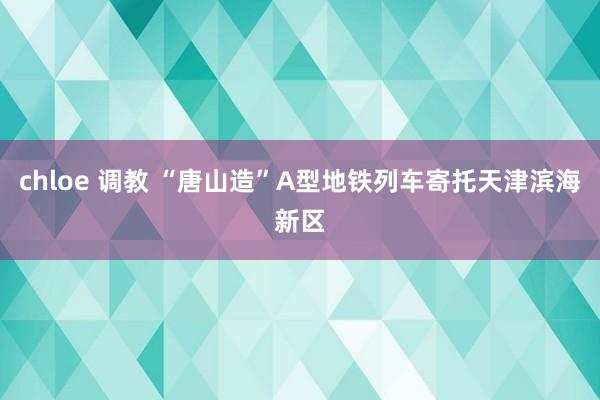 chloe 调教 “唐山造”A型地铁列车寄托天津滨海新区