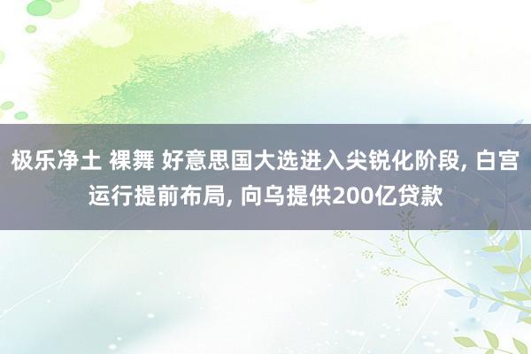 极乐净土 裸舞 好意思国大选进入尖锐化阶段, 白宫运行提前布局, 向乌提供200亿贷款