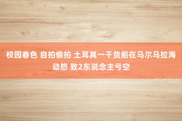 校园春色 自拍偷拍 土耳其一干货船在马尔马拉海动怒 致2东说念主亏空