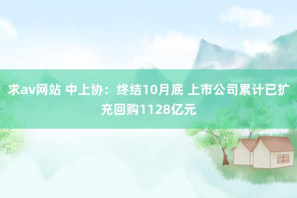 求av网站 中上协：终结10月底 上市公司累计已扩充回购1128亿元