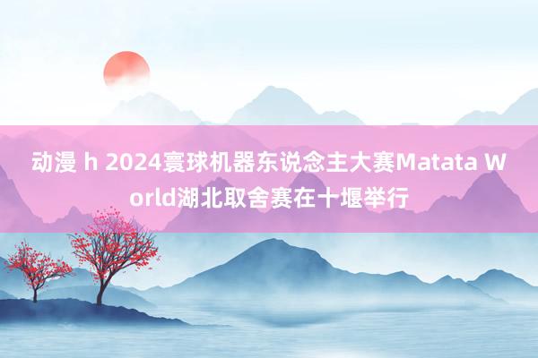 动漫 h 2024寰球机器东说念主大赛Matata World湖北取舍赛在十堰举行