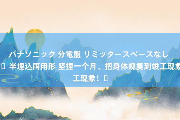 パナソニック 分電盤 リミッタースペースなし 露出・半埋込両用形 坚捏一个月、把身体规复到竣工现象！✅