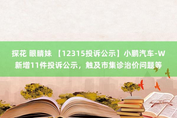 探花 眼睛妹 【12315投诉公示】小鹏汽车-W新增11件投诉公示，触及市集诊治价问题等