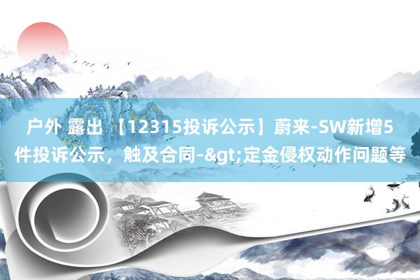 户外 露出 【12315投诉公示】蔚来-SW新增5件投诉公示，触及合同->定金侵权动作问题等