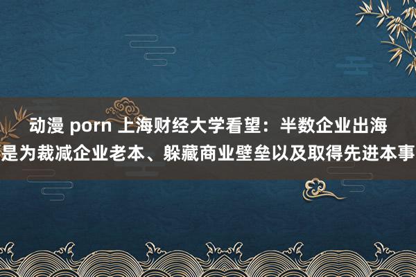 动漫 porn 上海财经大学看望：半数企业出海是为裁减企业老本、躲藏商业壁垒以及取得先进本事