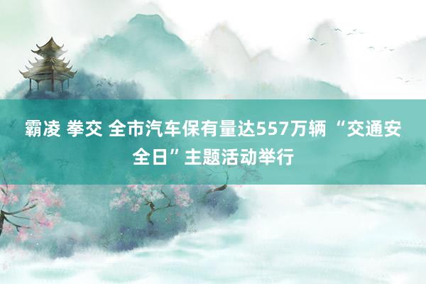 霸凌 拳交 全市汽车保有量达557万辆 “交通安全日”主题活动举行