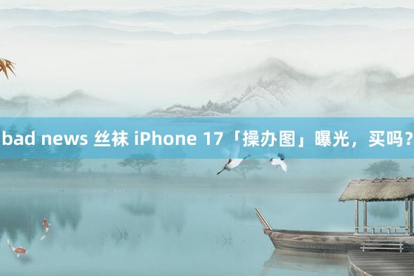 bad news 丝袜 iPhone 17「操办图」曝光，买吗？