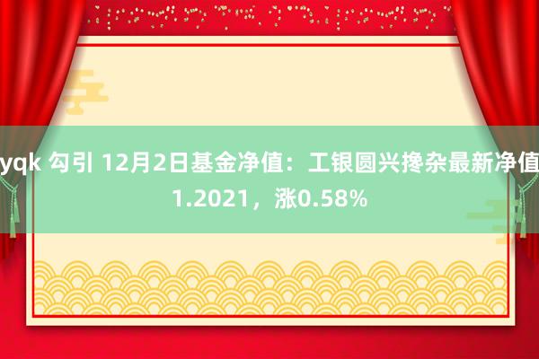 yqk 勾引 12月2日基金净值：工银圆兴搀杂最新净值1.2021，涨0.58%